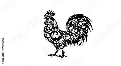 Black Rooster Illustration Design.