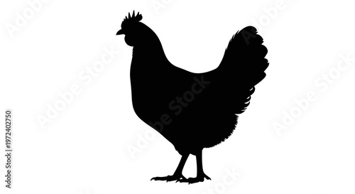 Black Rooster Silhouette Standing Profile.