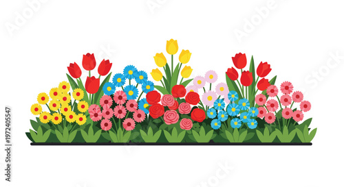 Colorful Garden Flower Bed with Tulips and Daisies Vector Illustration