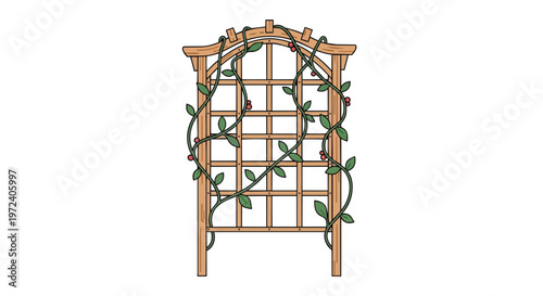 Wooden Garden Trellis with Climbing Vine Illustration