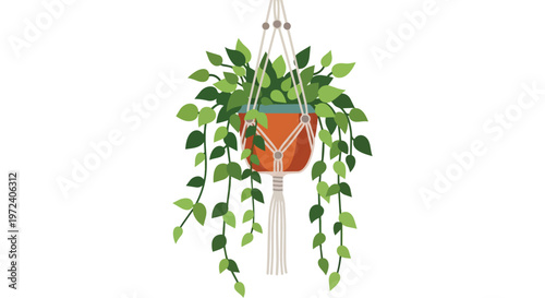 Boho Macrame Plant Hanger with Lush Hanging Greenery in Terracotta Pot