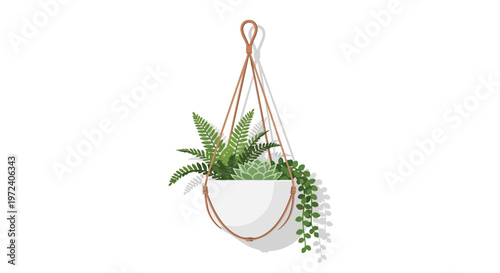 Hanging Planter with Assorted Green Succulents and Ferns in White Pot