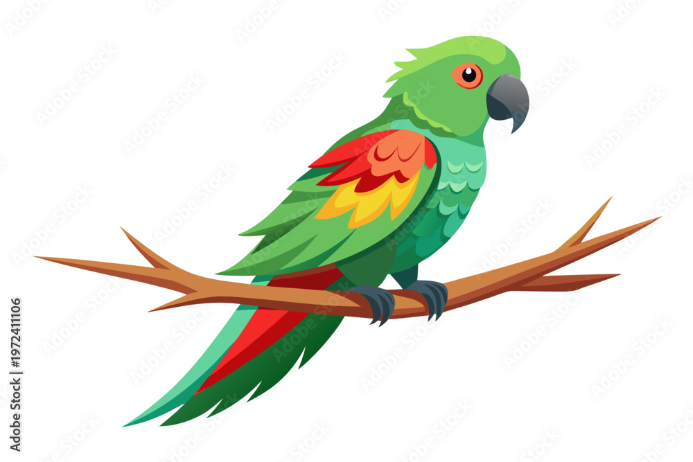 Obraz premium Green parrot with colorful wings perched on branch