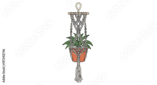 Hand Drawn Macrame Plant Hanger with Potted Green Houseplant