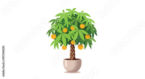 Potted Pachira Aquatica Money Tree with Fruits Illustration