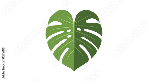 Heart Shaped Monstera Deliciosa Leaf Illustration