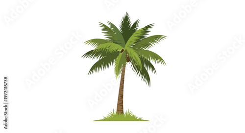 Single Tropical Palm Tree Illustration on Isolated White Background