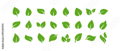 Collection of diverse green leaf icons representing nature, organic concepts, freshness, and eco-friendly design elements for various sustainable projects and branding identity