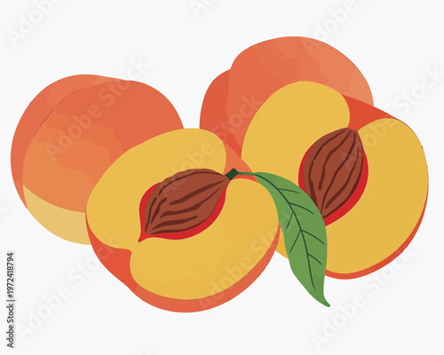 Fresh peaches sliced and displayed on a white background with leaves showing the fruit's inner structure and color tones
