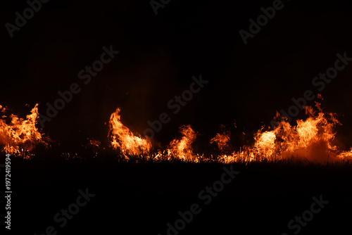 Burning fire flames isolated on dark background with smoke, dramatic wildfire effect, high contrast fire texture for overlay and design use.