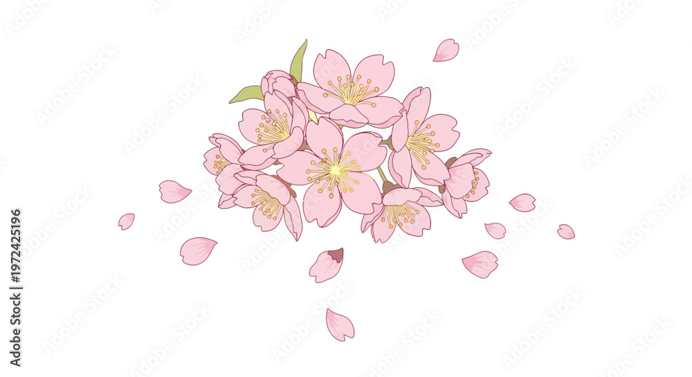 Fototapeta premium Delicate Cherry Blossom Branch with Falling Petals