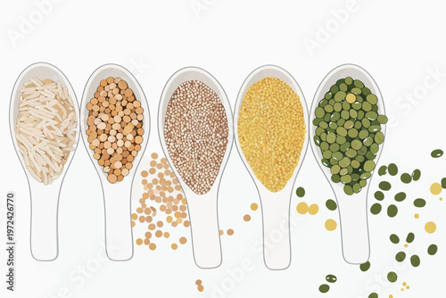 Various types of grains and legumes arranged in spoons on a white background in a simple layout