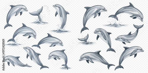 Set of jumping dolphins with water splashes isolated on transparent background, vector illustration.