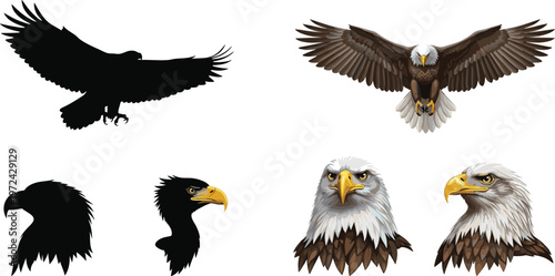 eagle illustration set, flying bird silhouette and realistic heads, wildlife design elements, predatory bird collection, vector art, nature concept