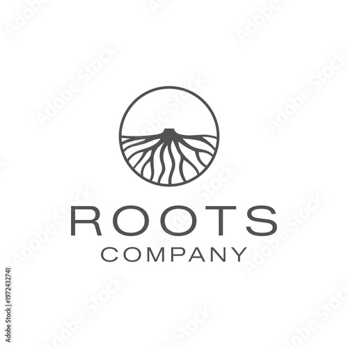 Roots Tree Stump Logo Design for Foundation and Heritage