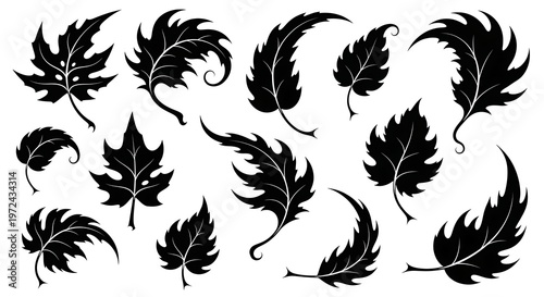 Elegant Black Leaf Silhouettes - Natures Artistic Forms.