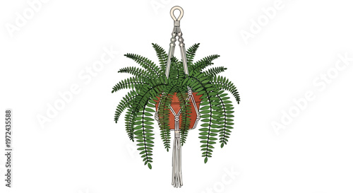 Hanging Fern Plant in Macrame Pot Holder Illustration