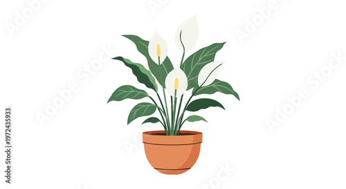 Potted Peace Lily Plant Illustration