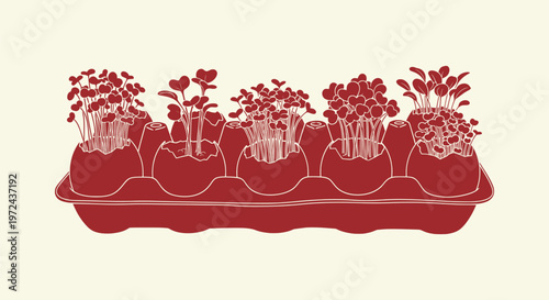 Vector Illustration of Microgreens Sprouting in Eggshells Within a Carton for Sustainable Living