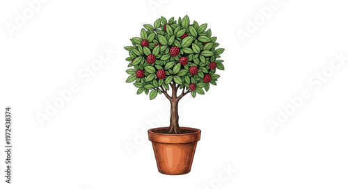 Potted Tree with Red Berries.