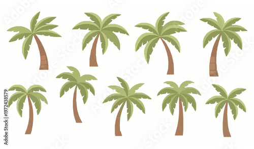 Modern cartoon palm tree set tropical beach plants summer decoration vector elements collection
