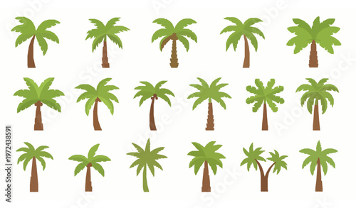 Cartoon palm tree set tropical plants summer beach decoration flat vector collection