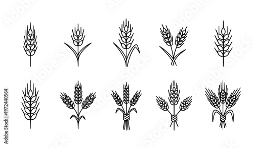 Minimal outline wheat and barley icon set line grain symbols for bakery agriculture logo vector