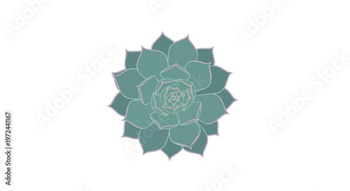 Minimalist Green Succulent Plant Illustration on White Background