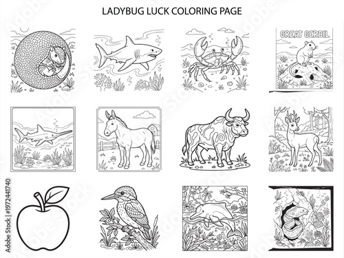 Educational animal coloring page collection featuring armadillo shark crab gerbil donkey bull deer apple kingfisher dolphin eel