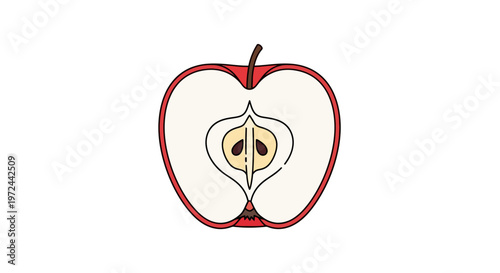Half apple illustration red fruit with seeds and outlined sections