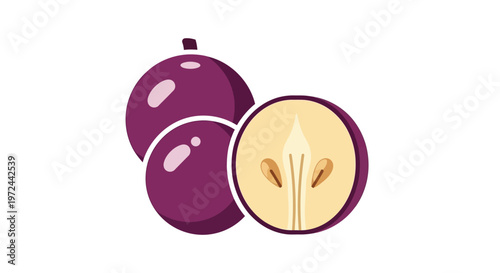 Graphic illustration of fresh jabuticaba fruit with a cut section on white