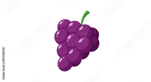 Vibrant purple grapes illustration isolated on white background for design