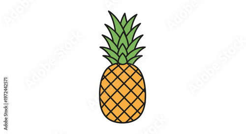 Isolated pineapple illustration on white background for design and advertising