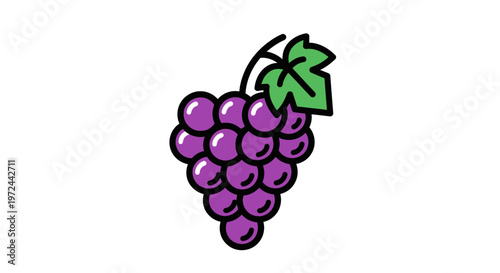 Fresh purple grapes with green leaf isolated on white background vector