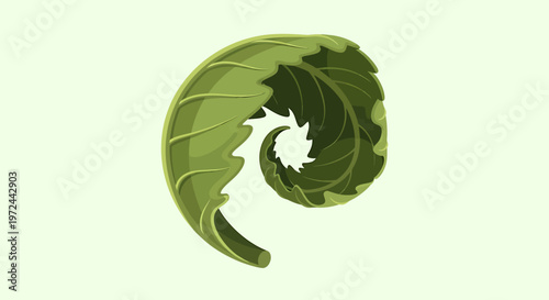 Botanical Unfolding: A delicate, spiraling leaf unfurls, a testament to the wonders of nature and the cycle of life.