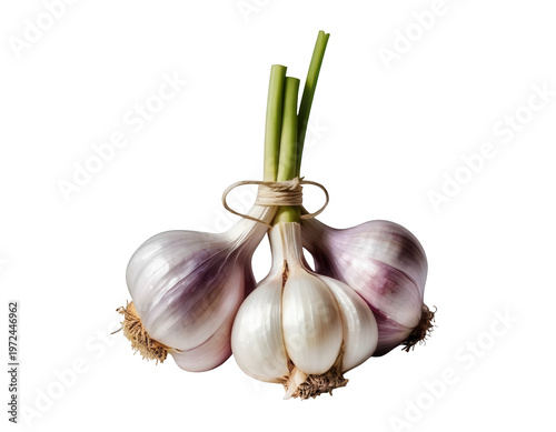 Garlic Bulbs on Display: A captivating close-up of fresh, intertwined garlic bulbs, elegantly bound together. This image captures the essence of culinary ingredients.