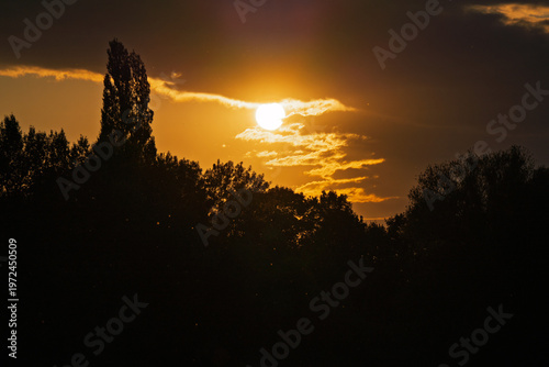 Sunset behind a forest on the riverbank.