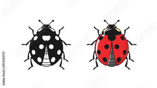 Ladybug icons shown in both a black silhouette and a realistic red and black spotted version on a white background.