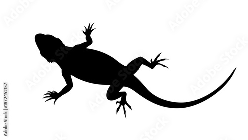 Lizard Silhouette Vector Icon Top View Reptile Isolated on White Background