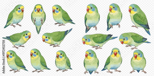 Collection of various watercolor budgerigar illustrations in different poses.