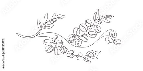 continuous single line drawing of coffee beans  line art vector illustration