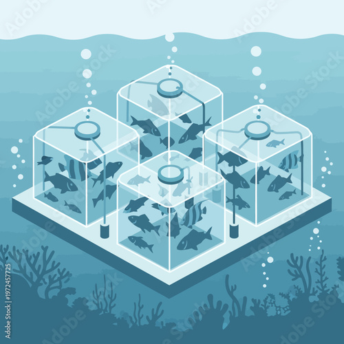 Underwater scene with fish in glass boxes.