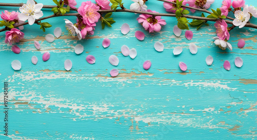 Rustic turquoise wooden background with cherry blossom branches and scattered petals.