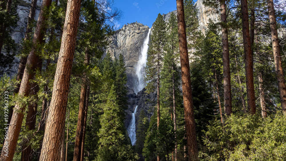 Obraz premium Yosemite National Park California