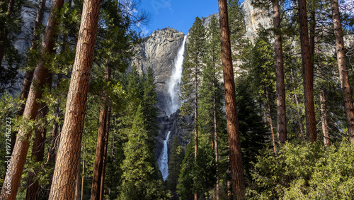 Obraz na płótnie Yosemite National Park California