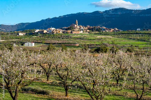 Photos Ulldemolins is an old town and municipality at the foot of the Montsant natural