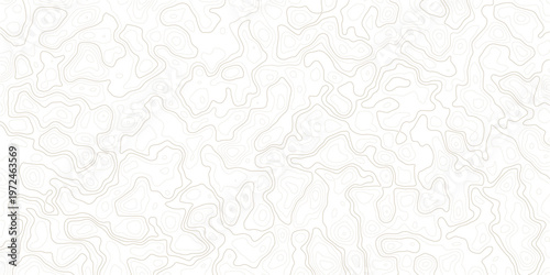 Brown topographic map lines on white background texture pattern
