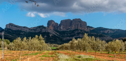 Roques de Benet, at 1,017 meters, are located in the municipality of Horta de Sant Joan, Els Ports Natural Park, Tarragona province, Catalonia, Spain