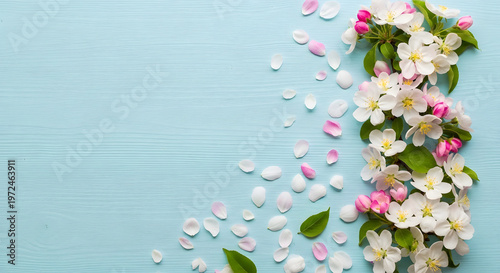 Spring flowers on light blue wooden background with white apple blossoms and pink petals.