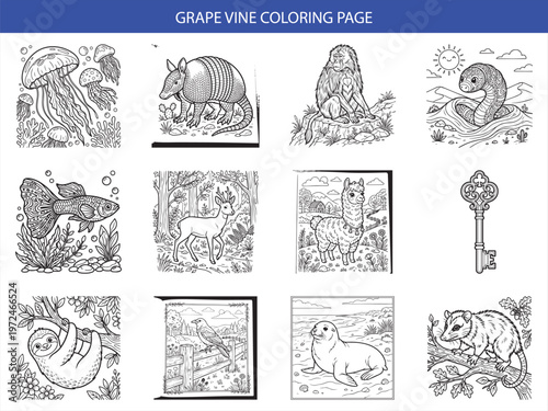 Grape vine coloring page features diverse animal illustrations including jellyfish armadillo monkey and snake for creative kid activity
